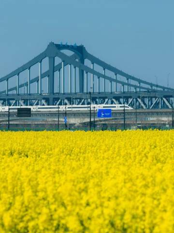 杭州木棉花·凯悦臻选酒店图片