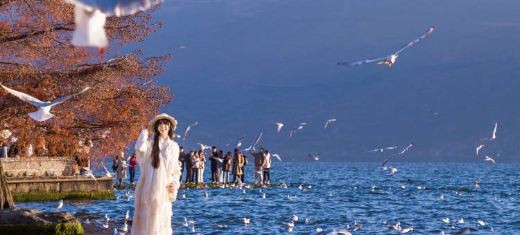枕畔|180°观沧海・泳池・白族风情智能美学设计师美宿(大理洱海店)图片