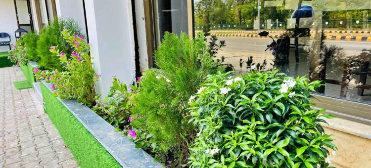 和平之地酒店(Hotel Peaceland Lumbini)图片