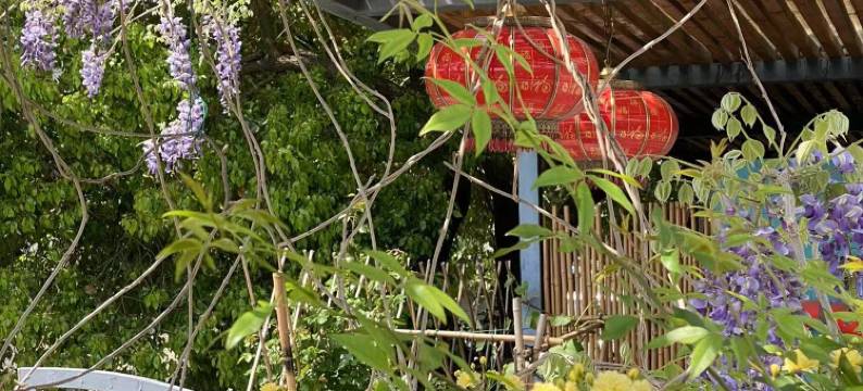 南京观渡野奢民宿图片