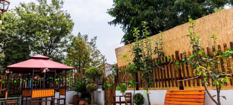 上海橙依精品民宿(比斯特购物村店)图片