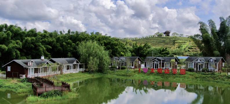 大明山茶园景区民宿图片