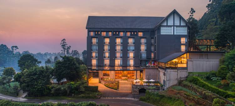 金岭酒店(The Golden Ridge Hotel)图片