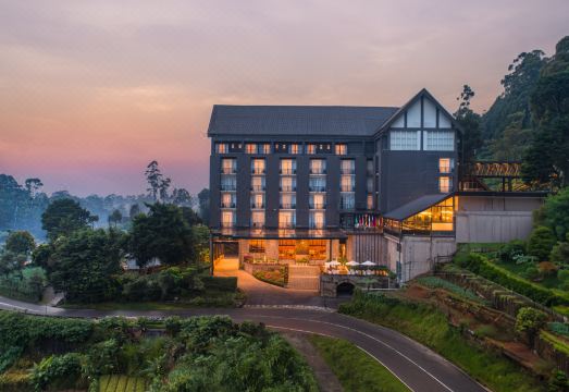 The Golden Ridge HotelHotel Overview