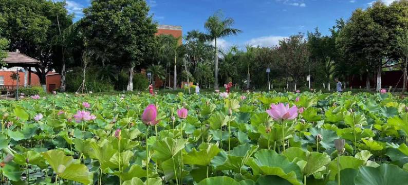 蒙自静心酒店(州委党校静心楼店)图片