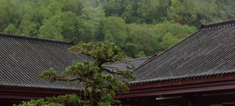 屏边牧羊河山水度假酒店图片