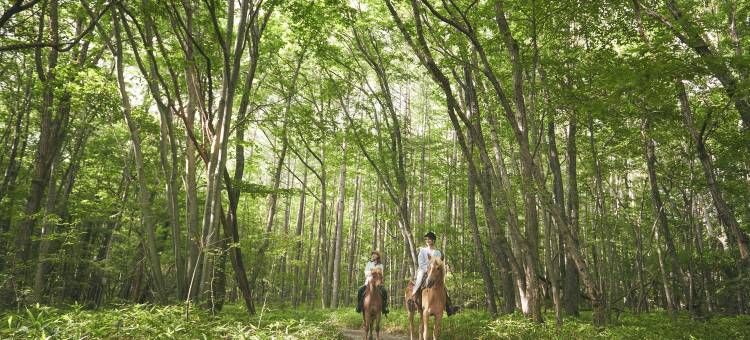 星野集团 RISONARE 山梨八岳(Hoshino Resorts Risonare Yatsugatake)图片