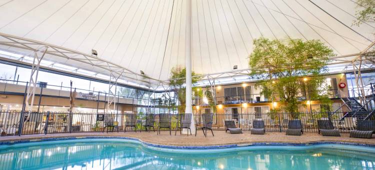 罗克斯比降水区的夜帽(Nightcap at Roxby Downs)图片