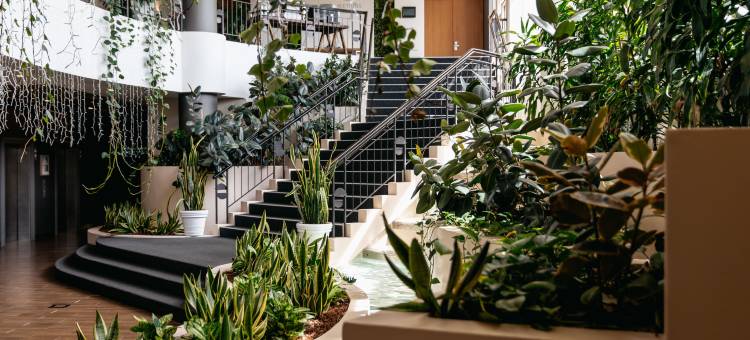 悉尼帕拉玛塔美居酒店(Mercure Sydney Parramatta)图片