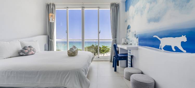 希腊遇见猫图片