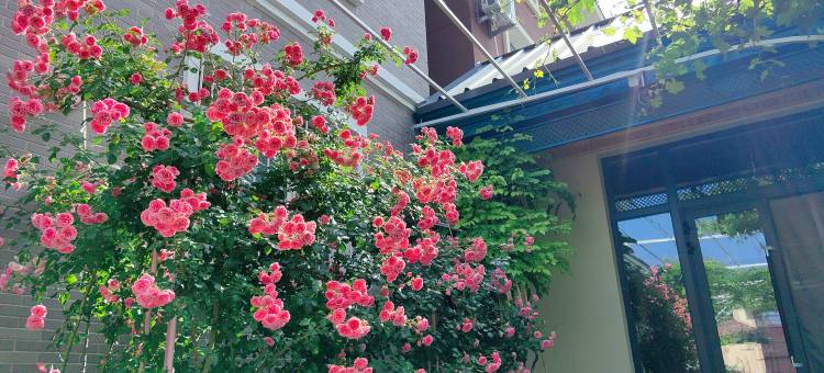 伊宁锦上花民宿(伊犁河风景区店)图片