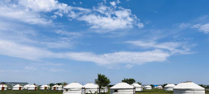 特伦马术营地图片