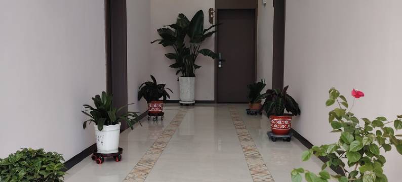 特克斯揽芳居民宿图片