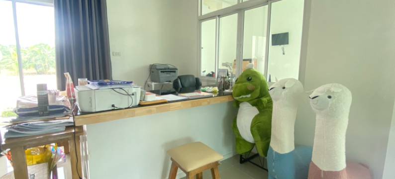 迪诺民宿(Dino Homestay)图片