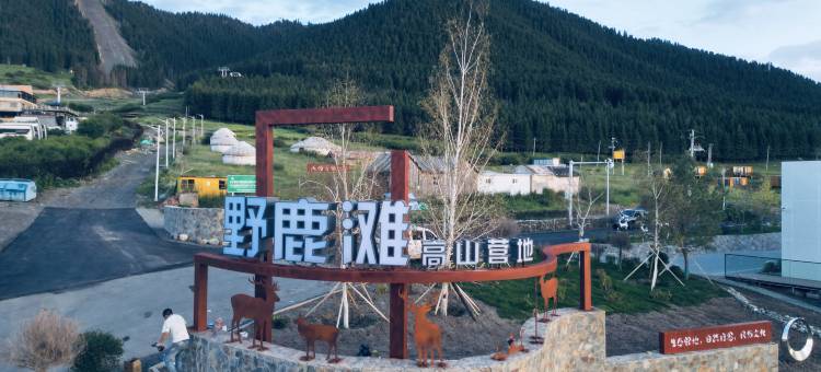 逸景野鹿滩民宿(国际丝路滑雪场店)图片