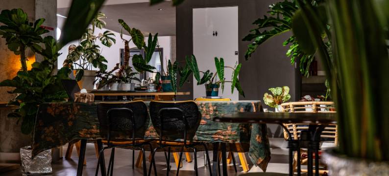 北京BRYCE私汤民宿图片