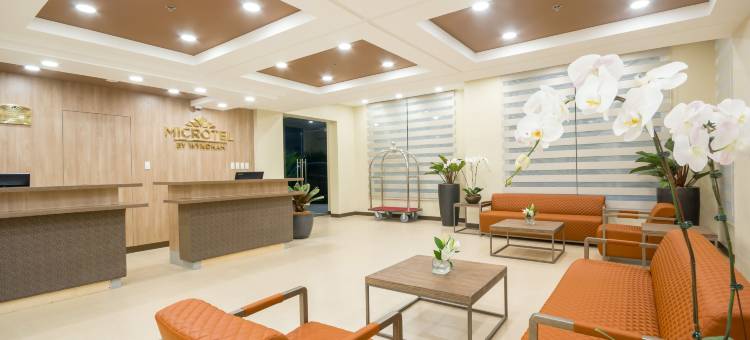 圣费尔南多麦客达温德姆套房酒店(Microtel Inn & Suites by Wyndham San Fernando)图片