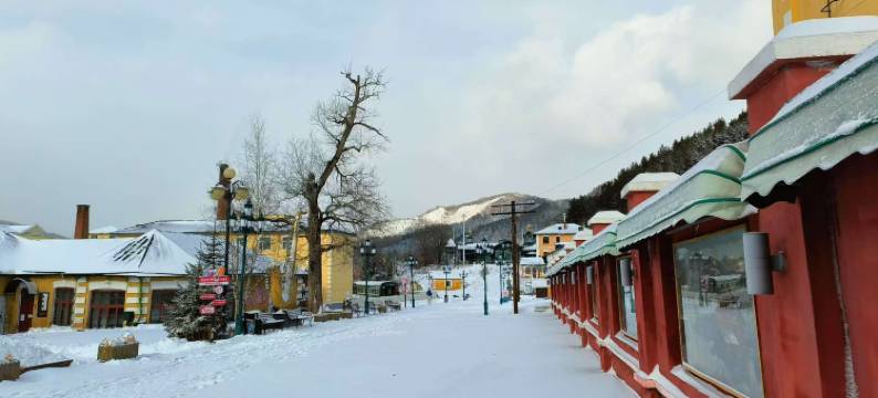 海林温暖民宿(横道河子站店)图片