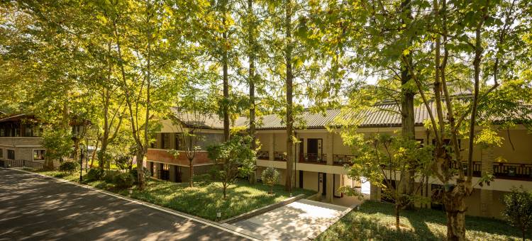 杭州龙岗故事观堂图片