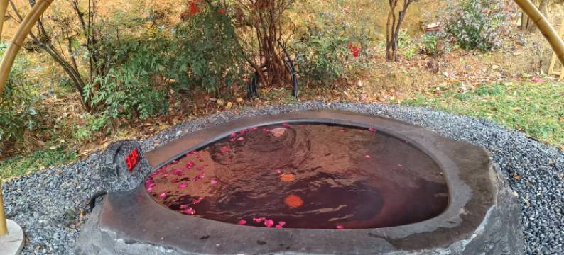 隐水四缘温泉民宿(星潮营地乐园店)图片