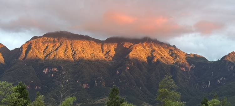 YOLO 惹莲・山河集|Designer 河景树屋度假民宿图片