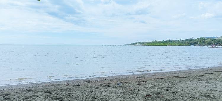 埃罗霍海滩度假村(Erojo's Beach Resort)图片