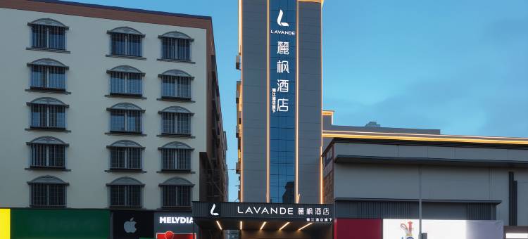 麗枫酒店(隆回县政府大桥路店)图片