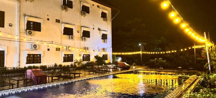 丛林背包客景观(Jungle Backpackers Terrace View)图片