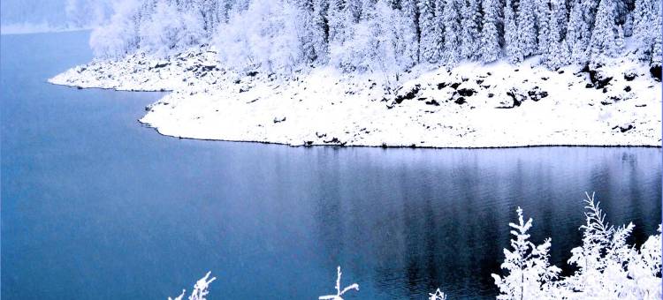 如家派柏云酒店(阜康老汽车站店)图片