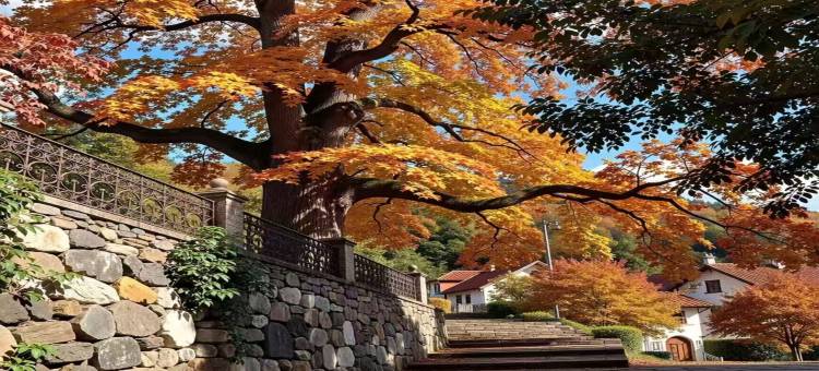 爱蒂儿智能酒店(盘锦火车站兴隆大厦第二百货店)图片