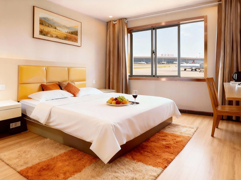 安心酒店(南京禄口国际机场T2航站楼店)