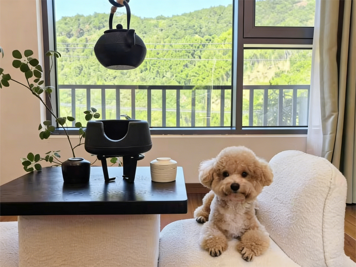 明月涧·设计师智能民宿(天柱山景区店)图片