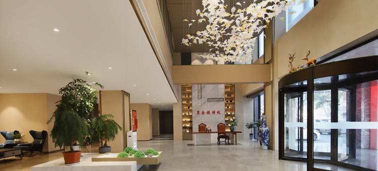 洛阳中和大酒店(洛阳高铁龙门站大学城店)图片