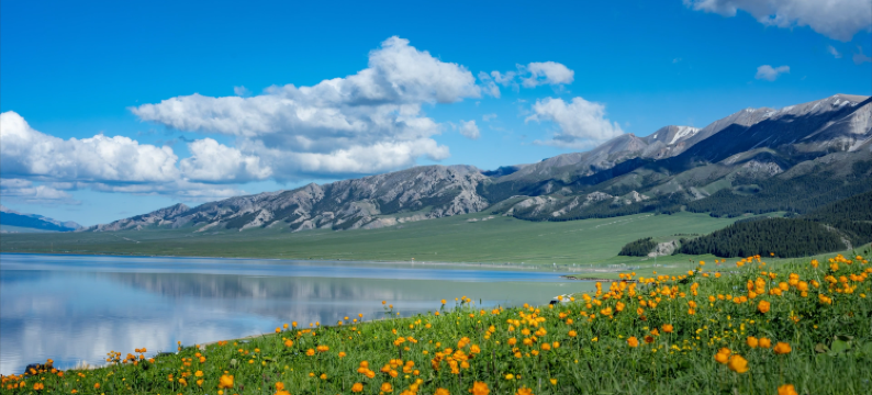 蓝湖国际酒店B座(赛里木湖景区店)图片