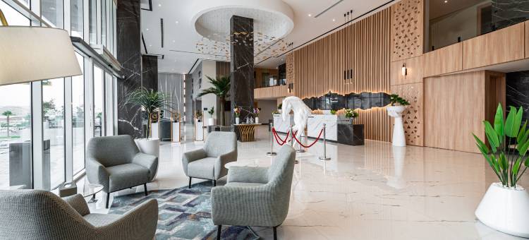 阿卜哈铼酒店(Rhenium Abha)图片