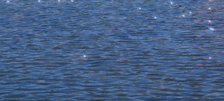 重庆美利亚酒店图片