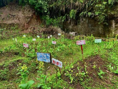 邛崃守拙民宿图片