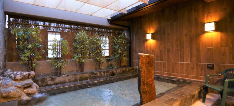 东京池袋多美迎天然温泉酒店(多美迎・御宿野乃 酒店集团)(Dormy Inn Ikebukuro Natural Hot Spring)图片