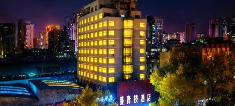 西宁蔓青枝酒店(西宁力盟步行街省博物馆店)图片