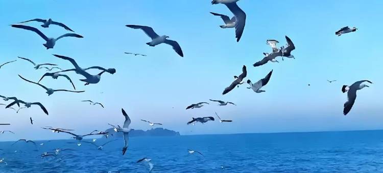 沐汐·海景公寓(东戴河佳兆业店)图片