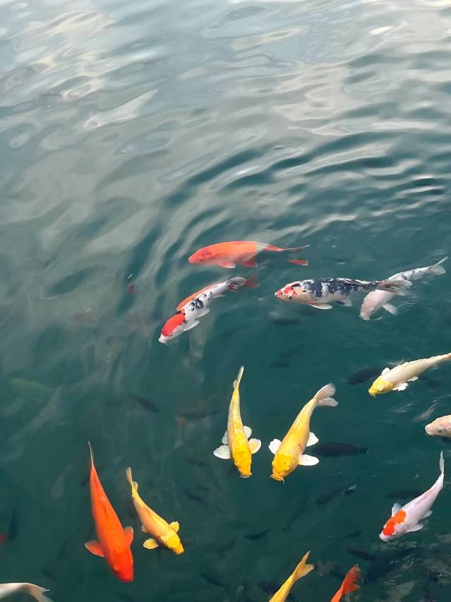 洲至奢选千岛湖燕山度假酒店图片
