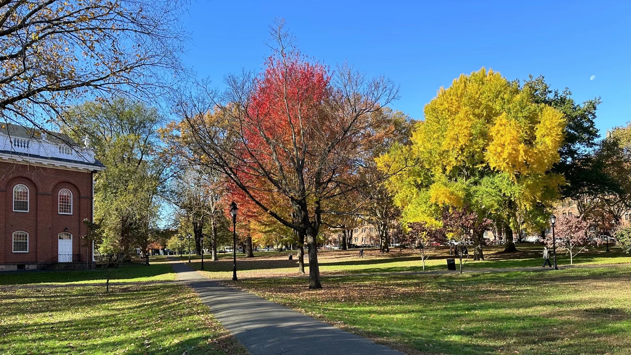 Yale 大学