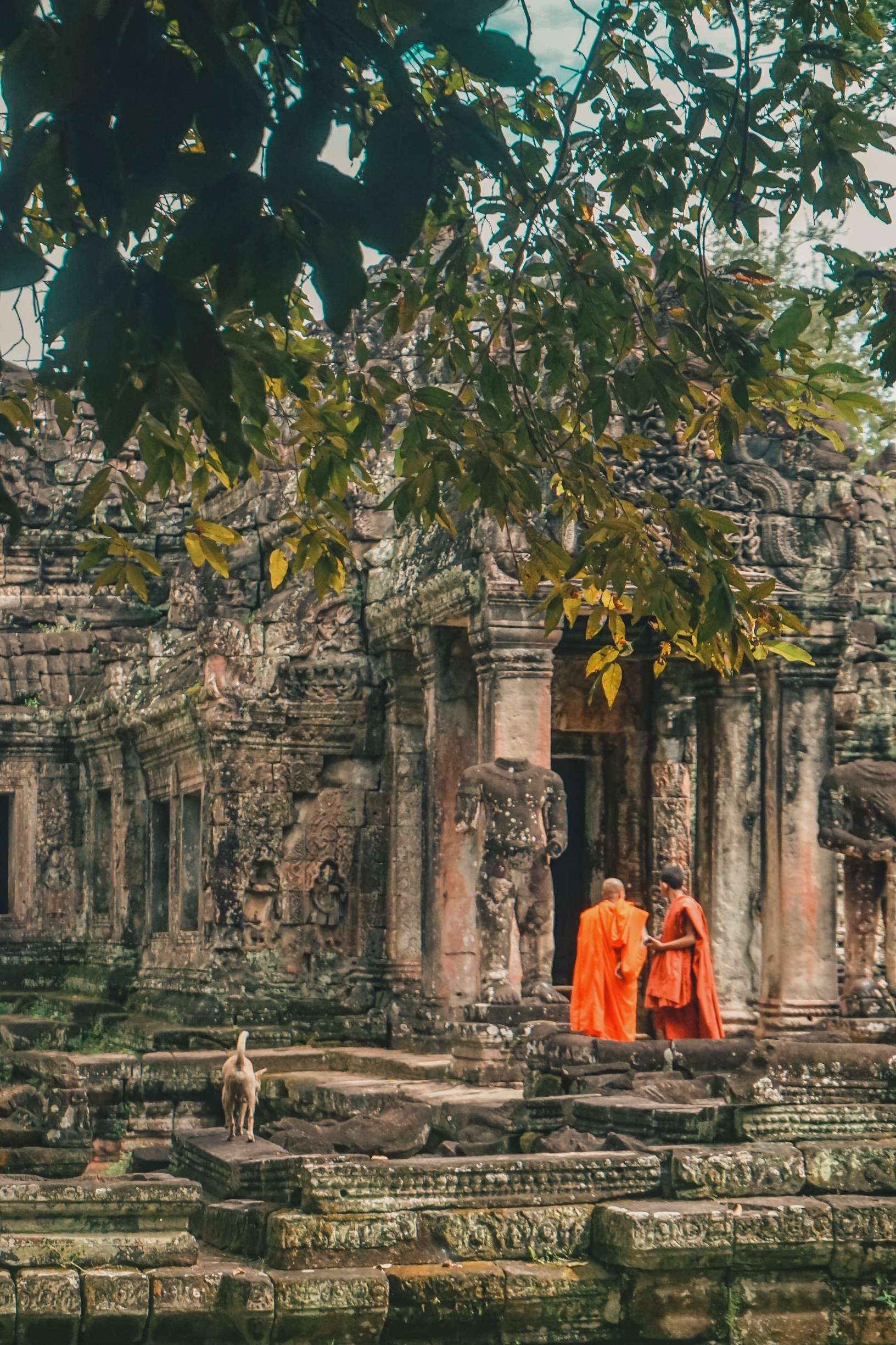 吴哥窟·圣剑寺｜高棉王朝的废墟之美‼️