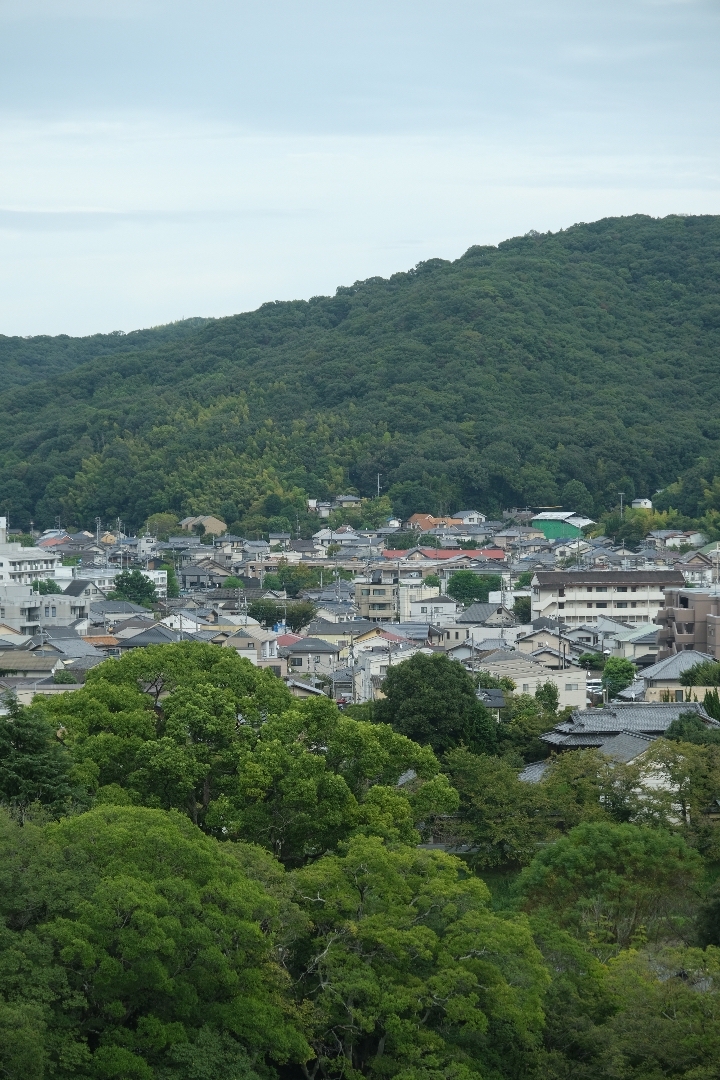 💚我在冈山城公园，享受绿色天地🌸