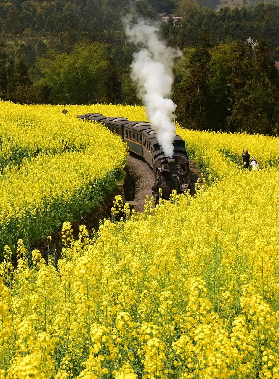 四川嘉阳——开往春天的“小火车”