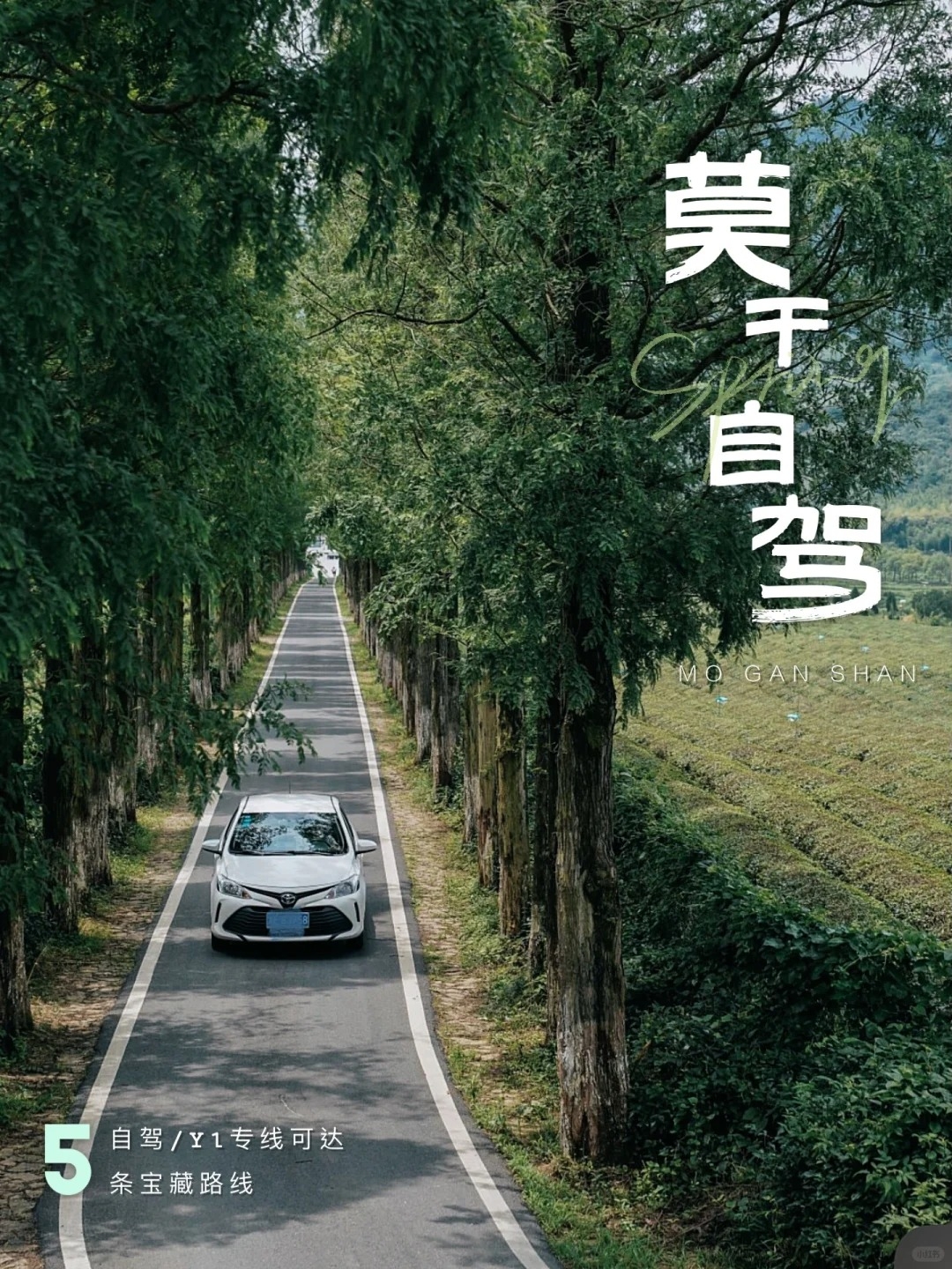 莫干山旅游🚘自驾orY1旅游专线可达❺种路线