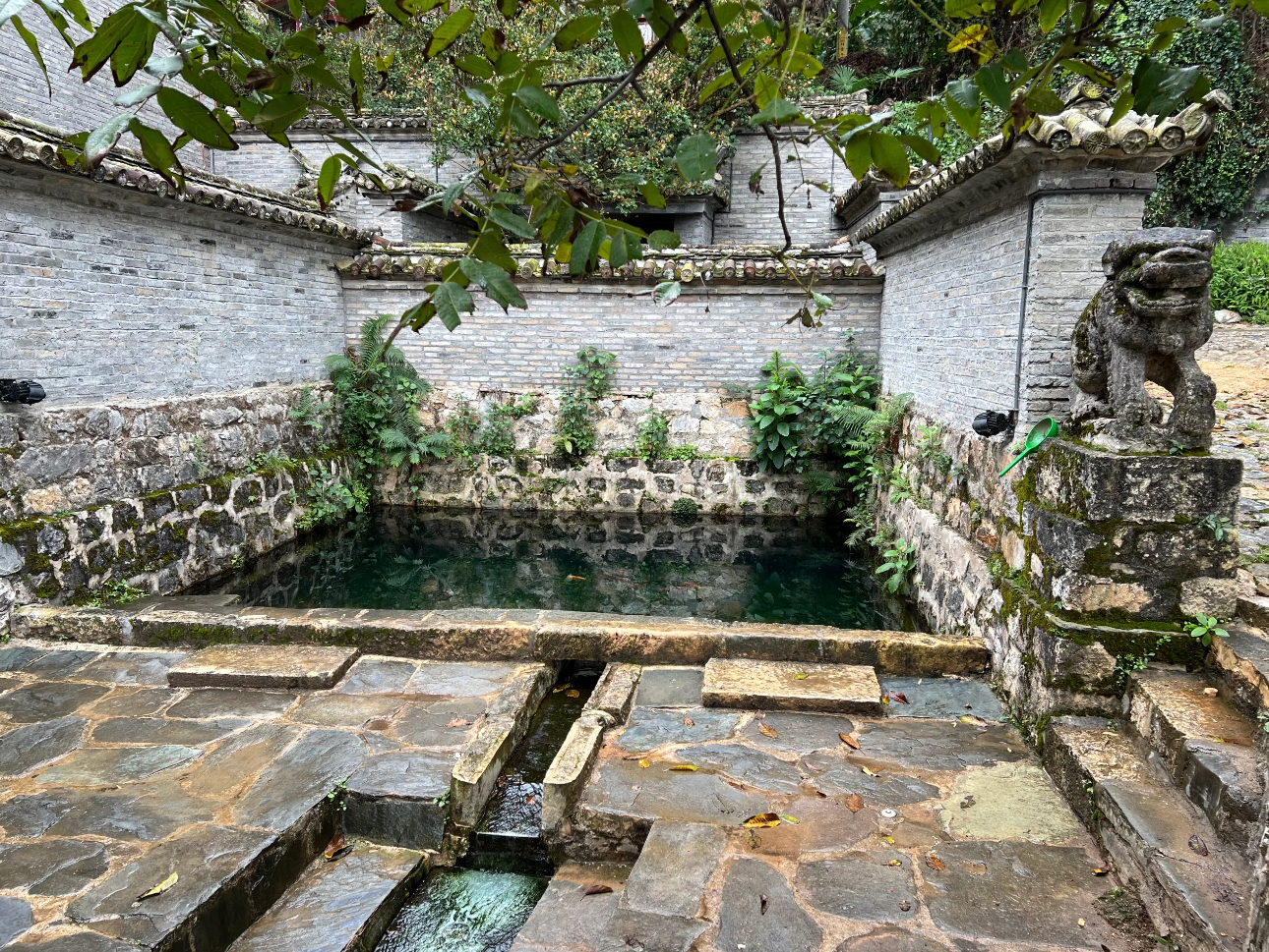 小菜园新徽菜(滇红北路店)