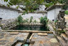 小菜园新徽菜(滇红北路店)美食图片