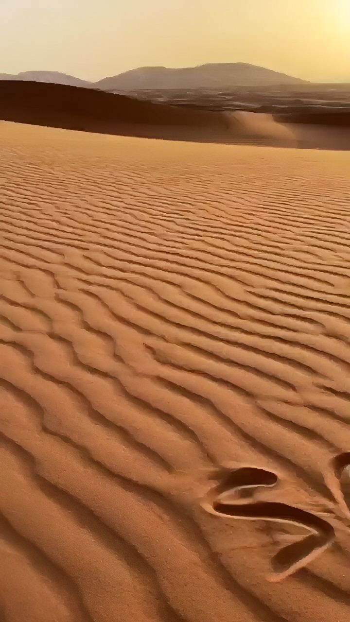 撒哈拉沙漠也有不一样的旅游体验！