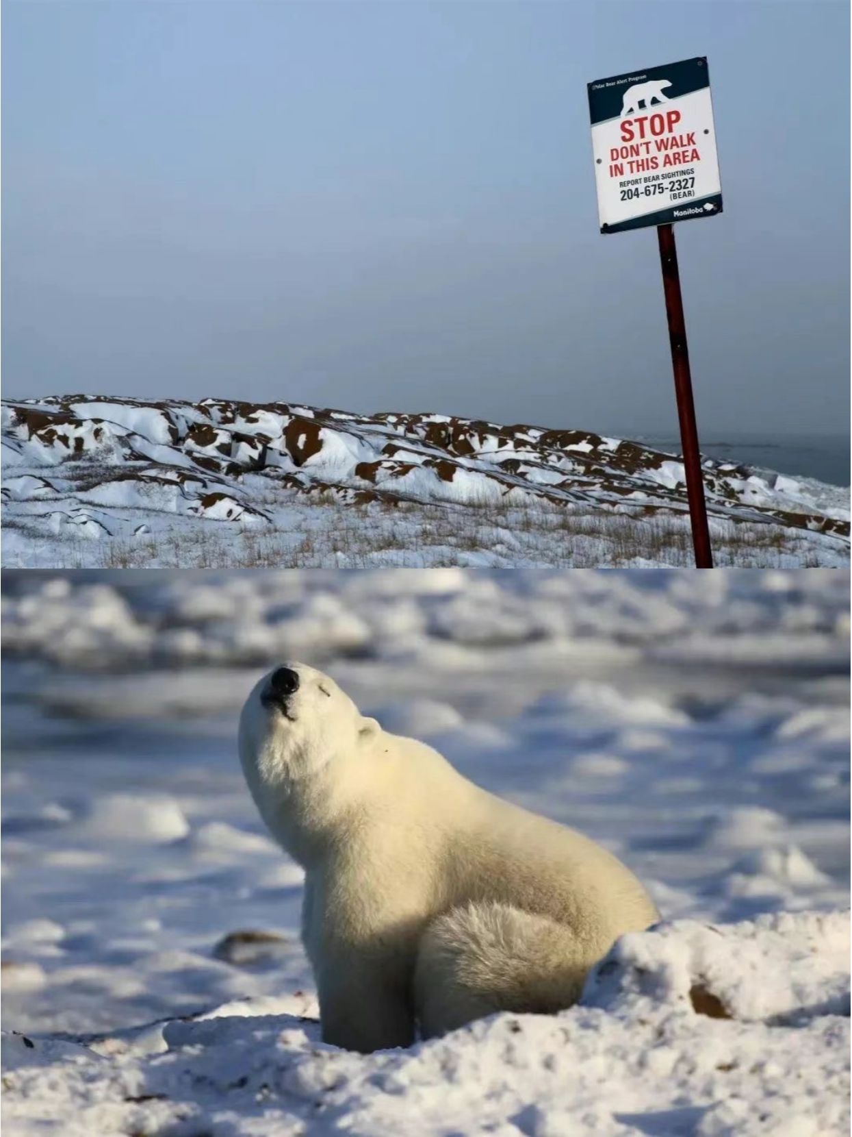 Tundra Inn Dining Room & Pub